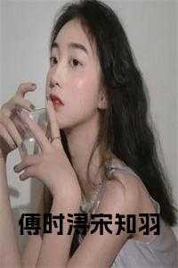 傅盛宋知星
