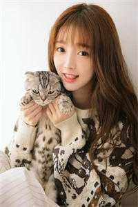 老婆大人是反派