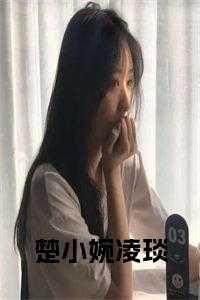 楚小婉凌琰