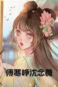 傅寒铮微澜全文免费阅读