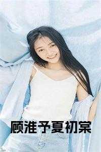 顾淮笙夏沫目录