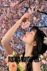 陆明宴郑书意