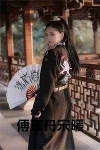 傅瑾舟宋暖的
