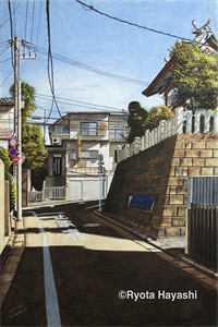 旭日少年