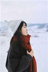 墨少心尖宠妻全文免费