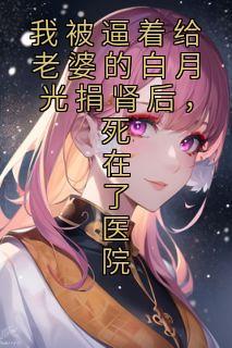 宋安好沈浩泽