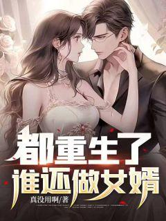 苏尘柳如烟 星辰汽车
