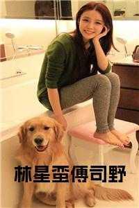 林南筝傅星索