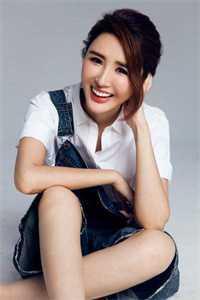 亮剑 李云龙版