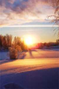 渣男抛弃白富美完整版 渣男抛弃白富美完整版