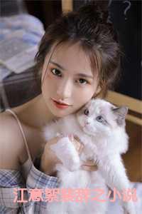 江意絮裴辞之名
