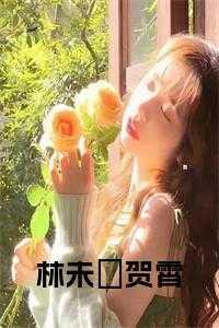 女主叫林未晞