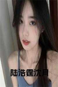 主角陆皓