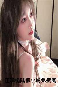 江晚栀陆彻免费阅读全文