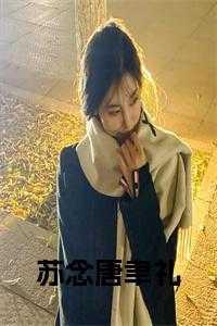 苏念全文免费阅读