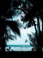 白月光的复仇陷阱