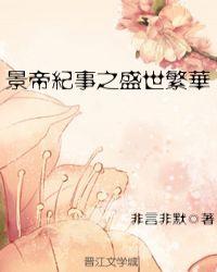 景帝纪事之盛世繁华讲的什么 景帝纪事之盛世繁华讲的什么