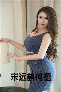 宋远鹤何禧完结免费