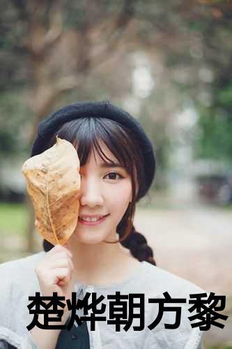 楚恒 方宴