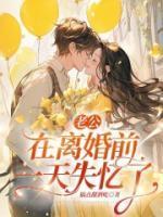 离婚当天老公失忆了怎么办全文阅读