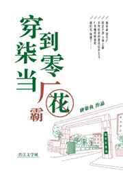 穿到七零当厂花txt