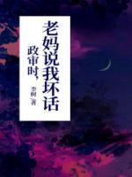 政审说错话