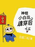 神棍小白花魂穿后笔趣阁在线阅读免费
