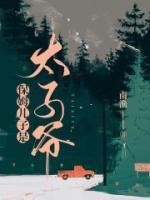 保姆的儿子去二强店里了吗