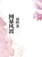 网络风暴现象