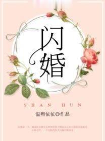 闪婚电视剧