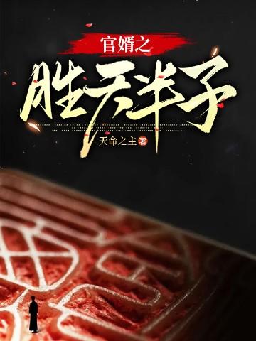 官途红颜草根高官路