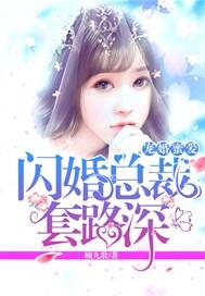 闪婚总裁宠妻如命免费阅读全集