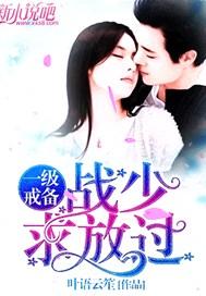 中国人民解放军一级战备是什么意思