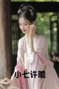 小七许瞻免费阅读