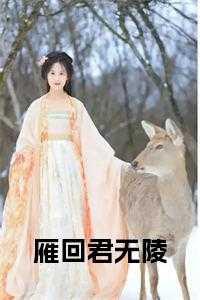 雁回免费阅读