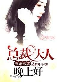 总裁大人撩妻成瘾