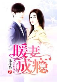 暖妻成瘾韩禛全书免费阅读全文