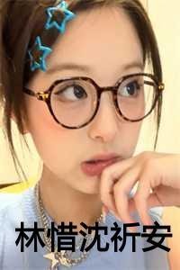 林惜沈祈安免费阅读
