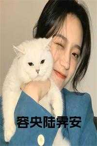 容央陆霁安结局