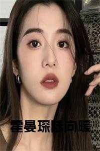 陆向暖霍晏琛免费全本