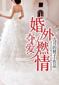 夺爱二婚逃妻免费阅读