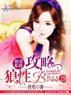 快穿系统攻略狼性BOSS免费阅读