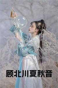 顾北城夏一念全文免费