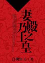 妻乃殿上之皇讲的什么