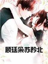 女主苏乔男主顾廷深