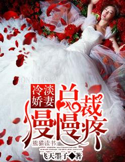 冷淡娇妻总裁慢慢疼 飞天墨子