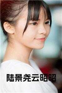 女主云昭男主陆迟