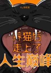 养猫后走上人生巅峰资源