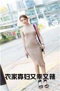 农家小寡妇免费读