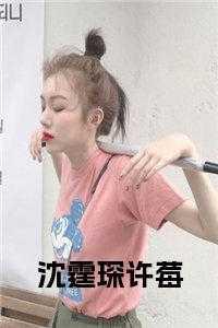 许霆深许枝全文免费阅读